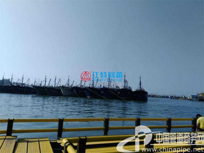 廣東深?？癸L(fēng)浪網(wǎng)箱